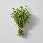 百里香 Thyme
