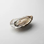 生蠔 raw oyster