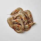 斑節蝦 tiger prawn