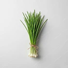 韭菜 Chives