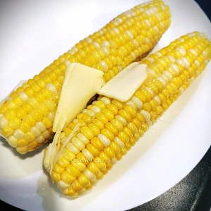 urc2024051701 tinified