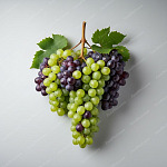 葡萄 Grapes