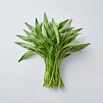 通菜 Water spinach