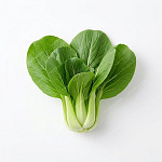 上海青 shanghai-bok-choy